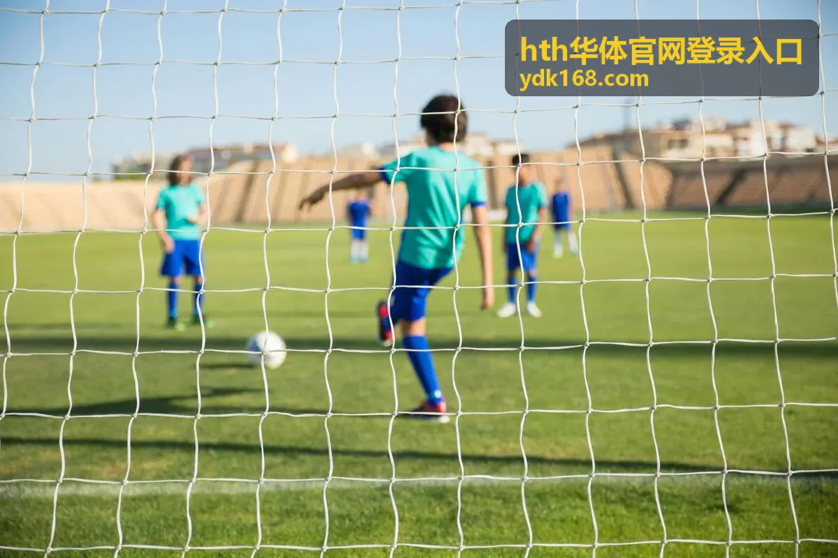 hth华体官网登录入口赛事信息访问服务示意图